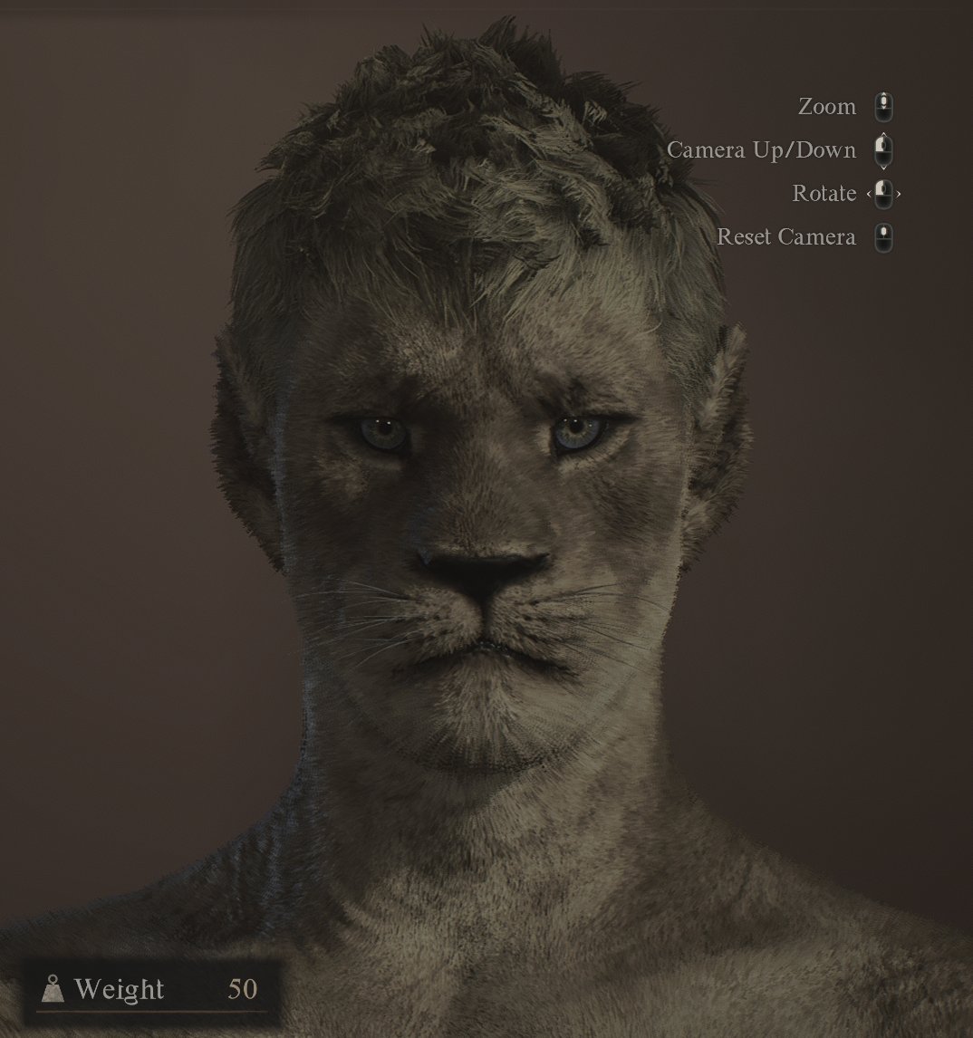 Cat folk in Dragons Dogma 2
